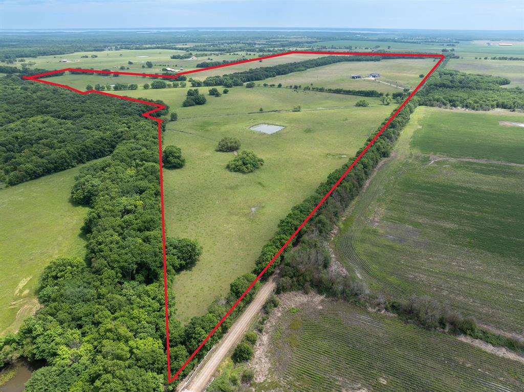 2396 County Road 2145 Cooper, TX 75432 - Photo 3 of 40 a view of a lush green field