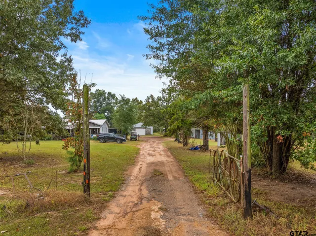 a view of a park with large trees