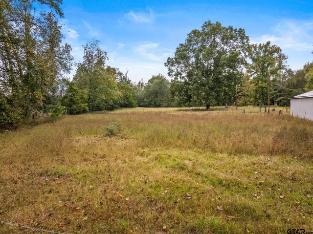 a view of backyard with wooden fence and a large tree
