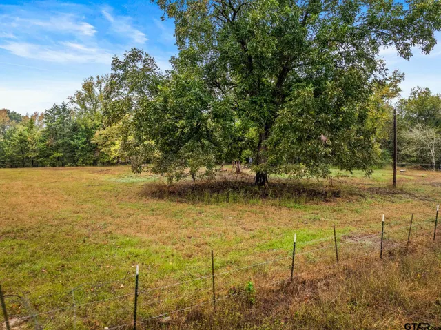 a view of a garden with plants