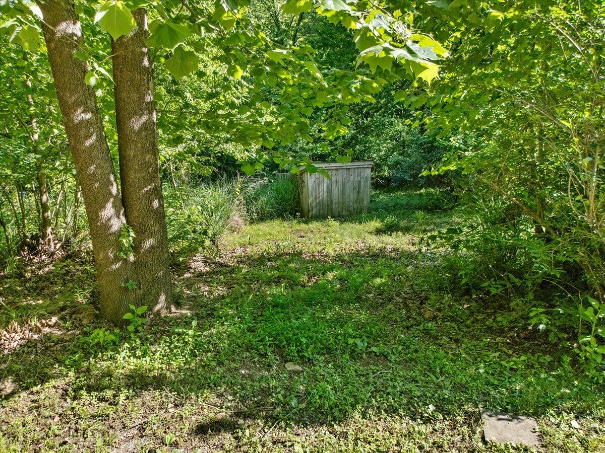 56 Craig Woods Road New Castle, VA 24127 - Photo 59 of 70 61-1000037257