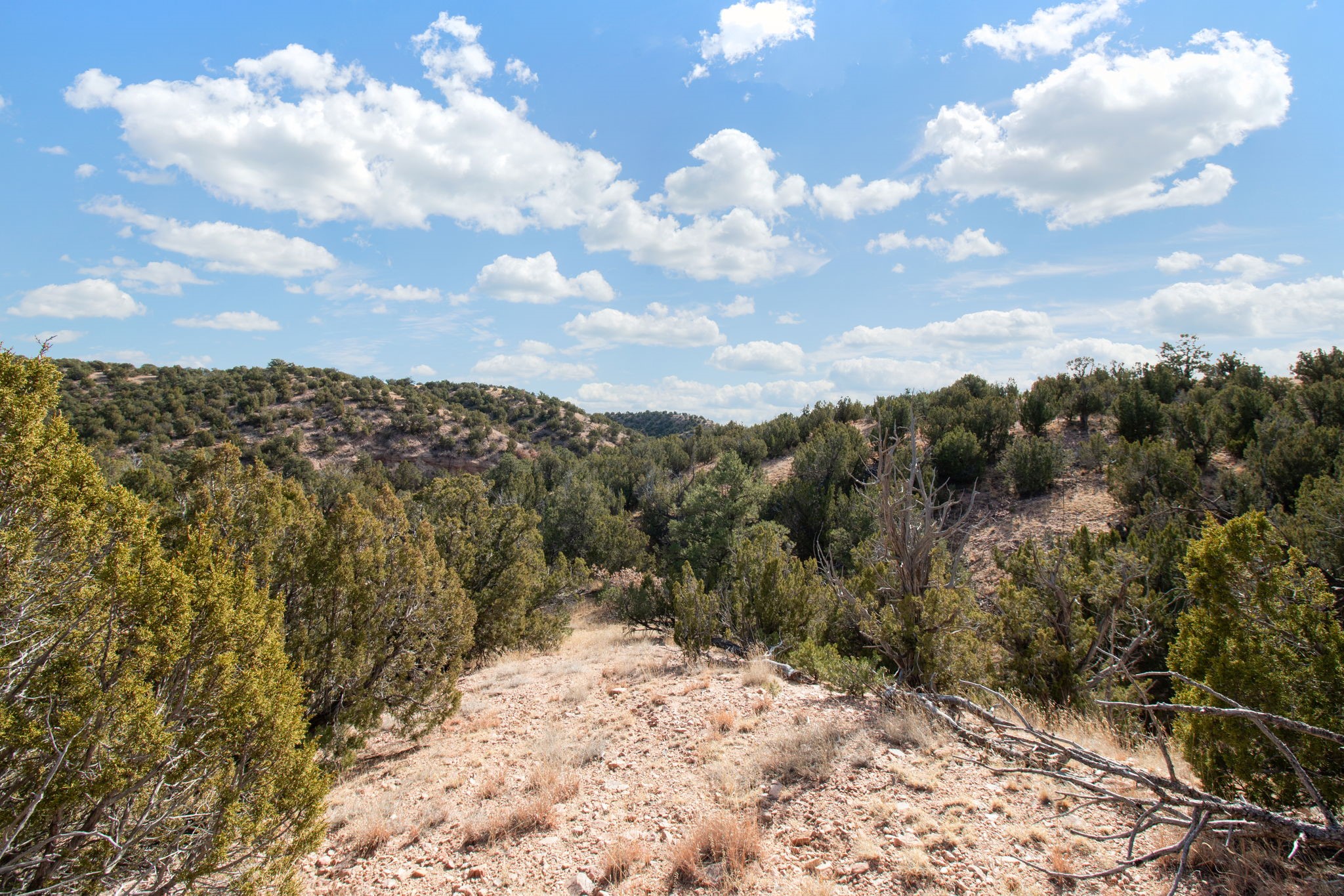 19 Del Charro Road Lamy, NM 87540 - Photo 11 of 15