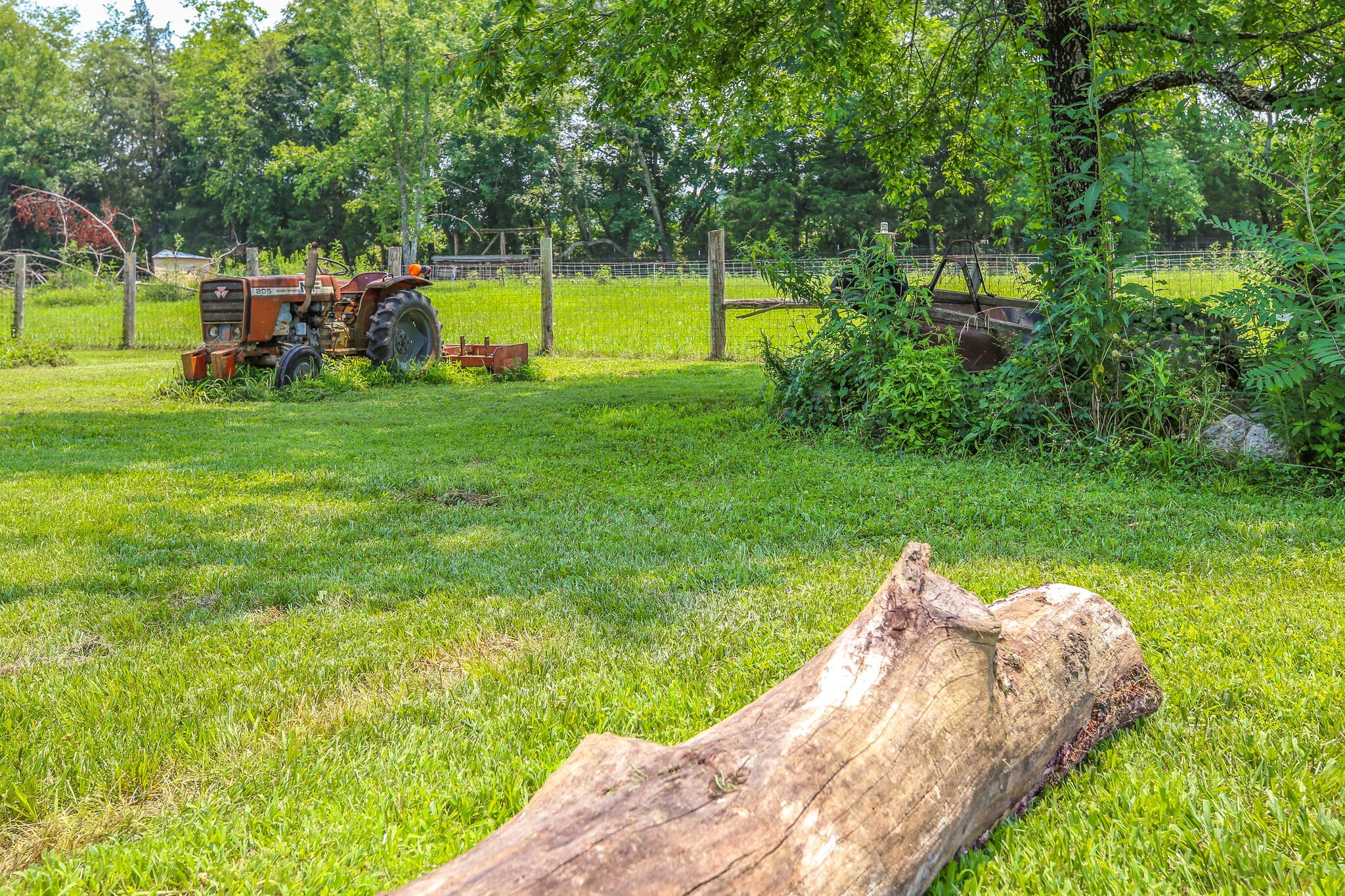 612 Norene Road Lebanon, TN 37090 - Photo 27 of 31 a view of a park with large trees
