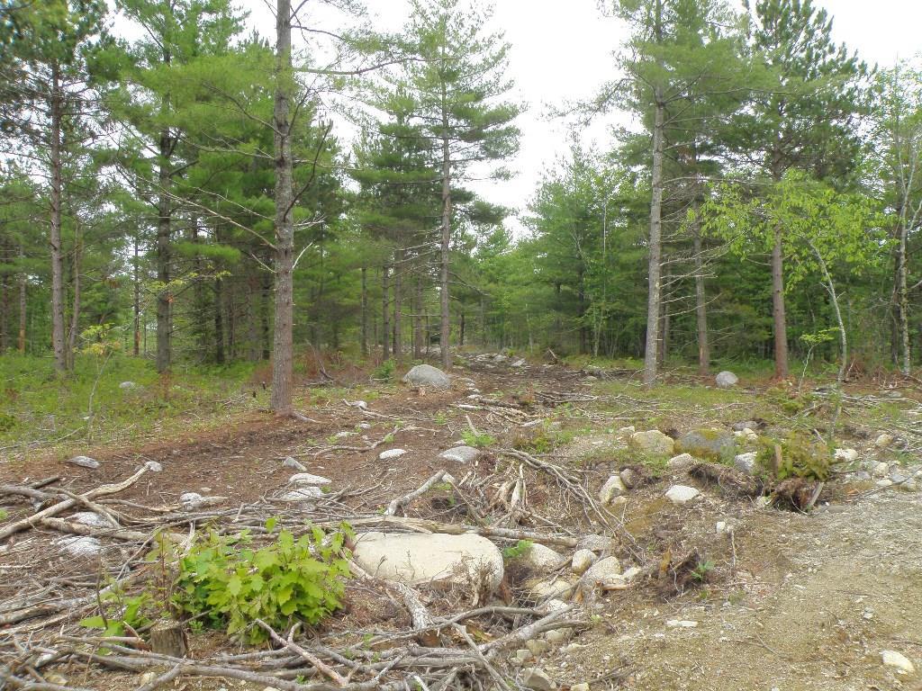 Lot 27 Lane Road Cherryfield, ME 04622 - Photo 3 of 11 Photo
