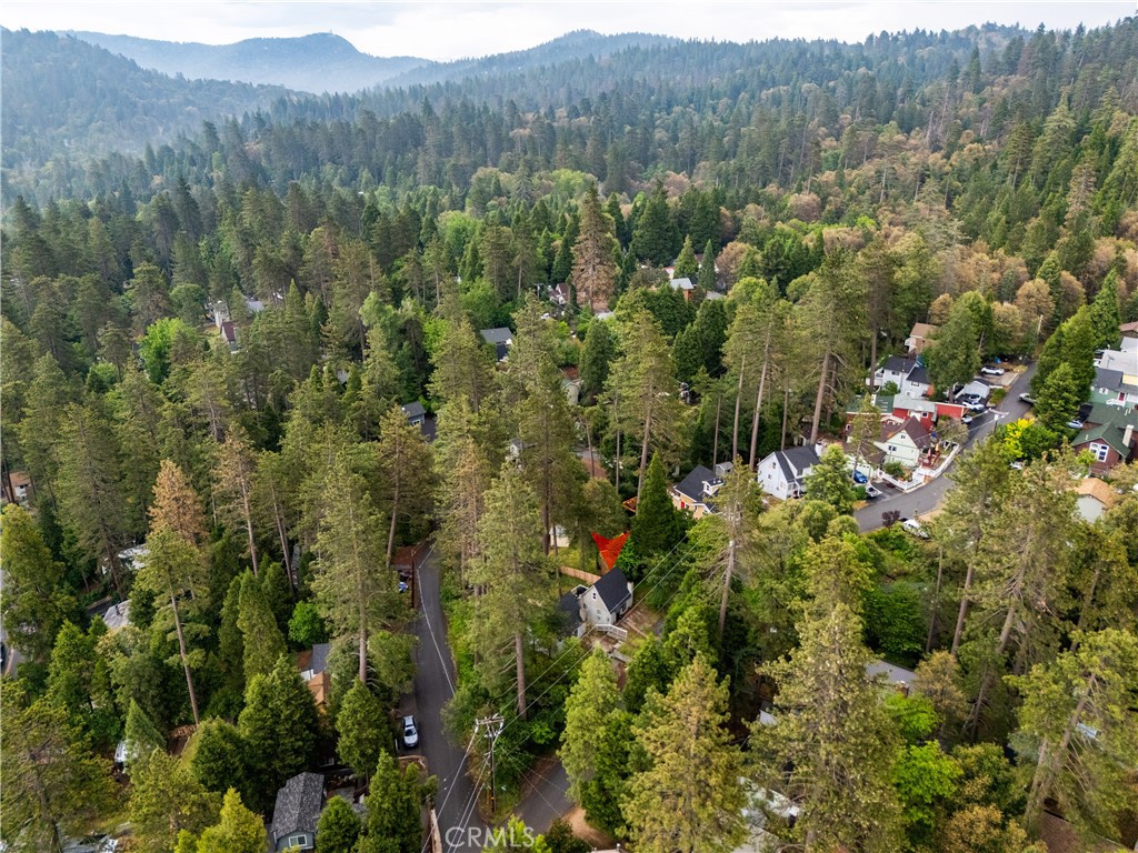 423 Forest Lane Crestline, CA 92325 - Photo 20 of 22