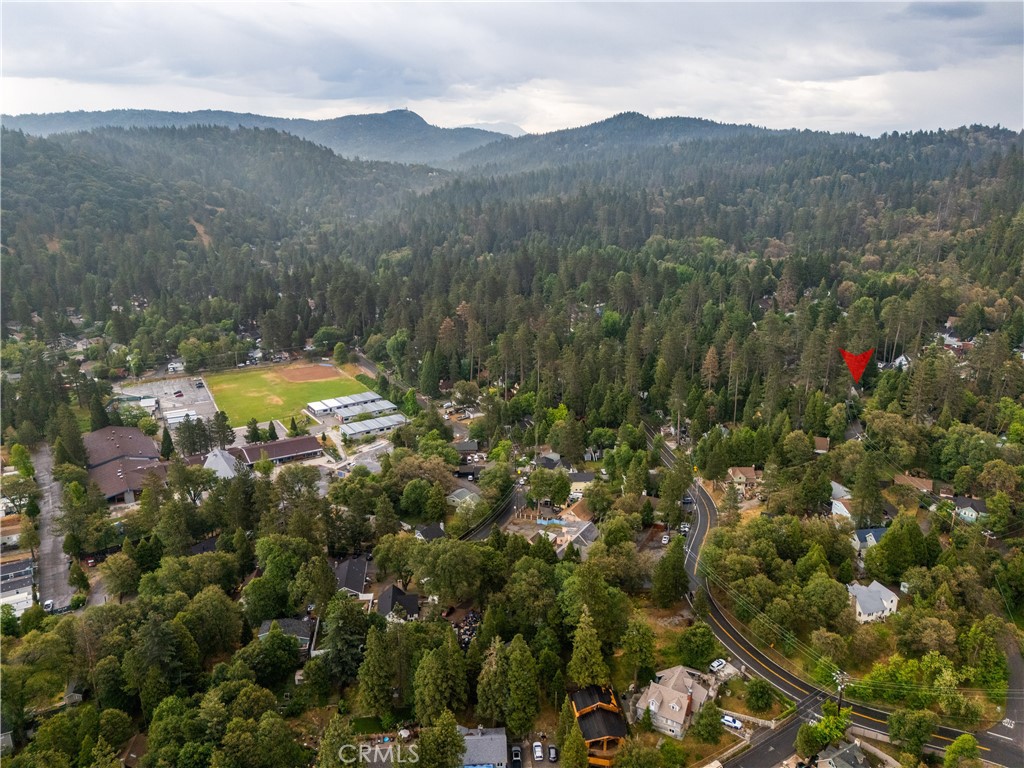 423 Forest Lane Crestline, CA 92325 - Photo 22 of 22