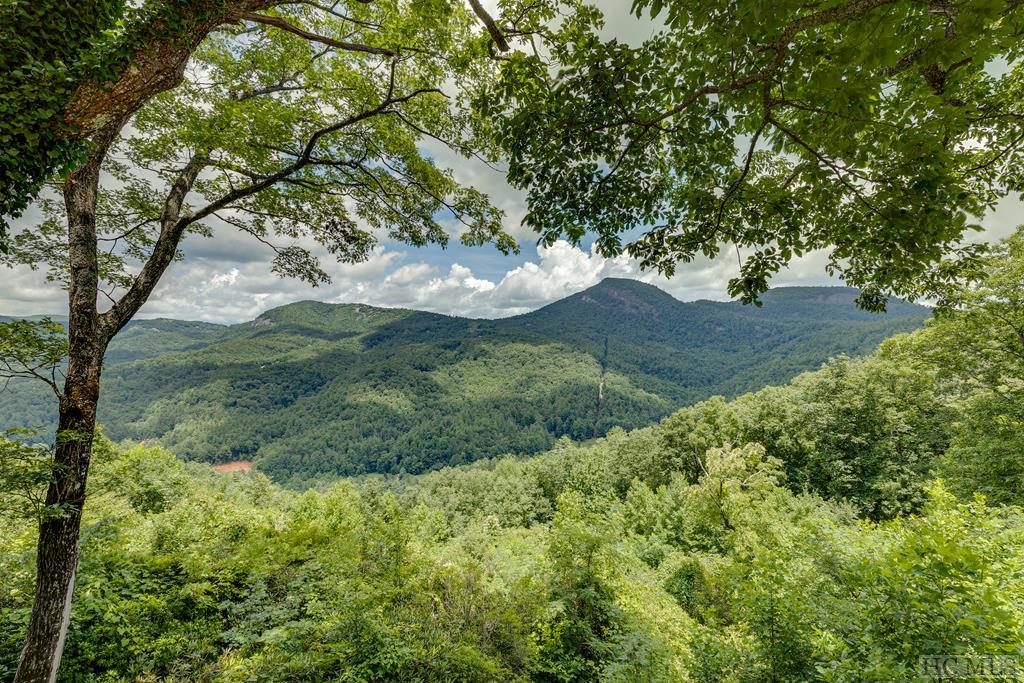 383 Queen Mountain Road Highlands, NC 28741 - Photo 2 of 44 Gallery Image 2