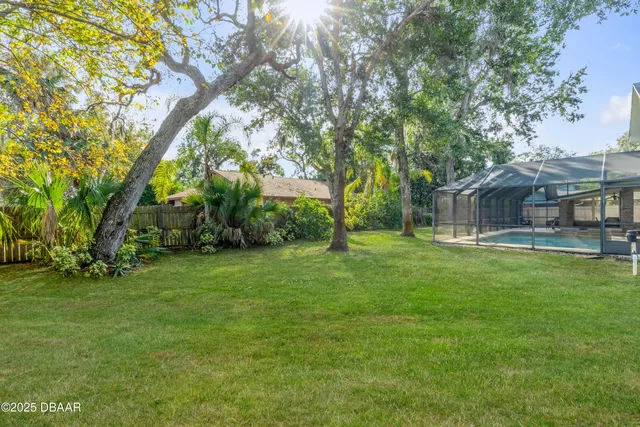 a view of a trees with a big yard