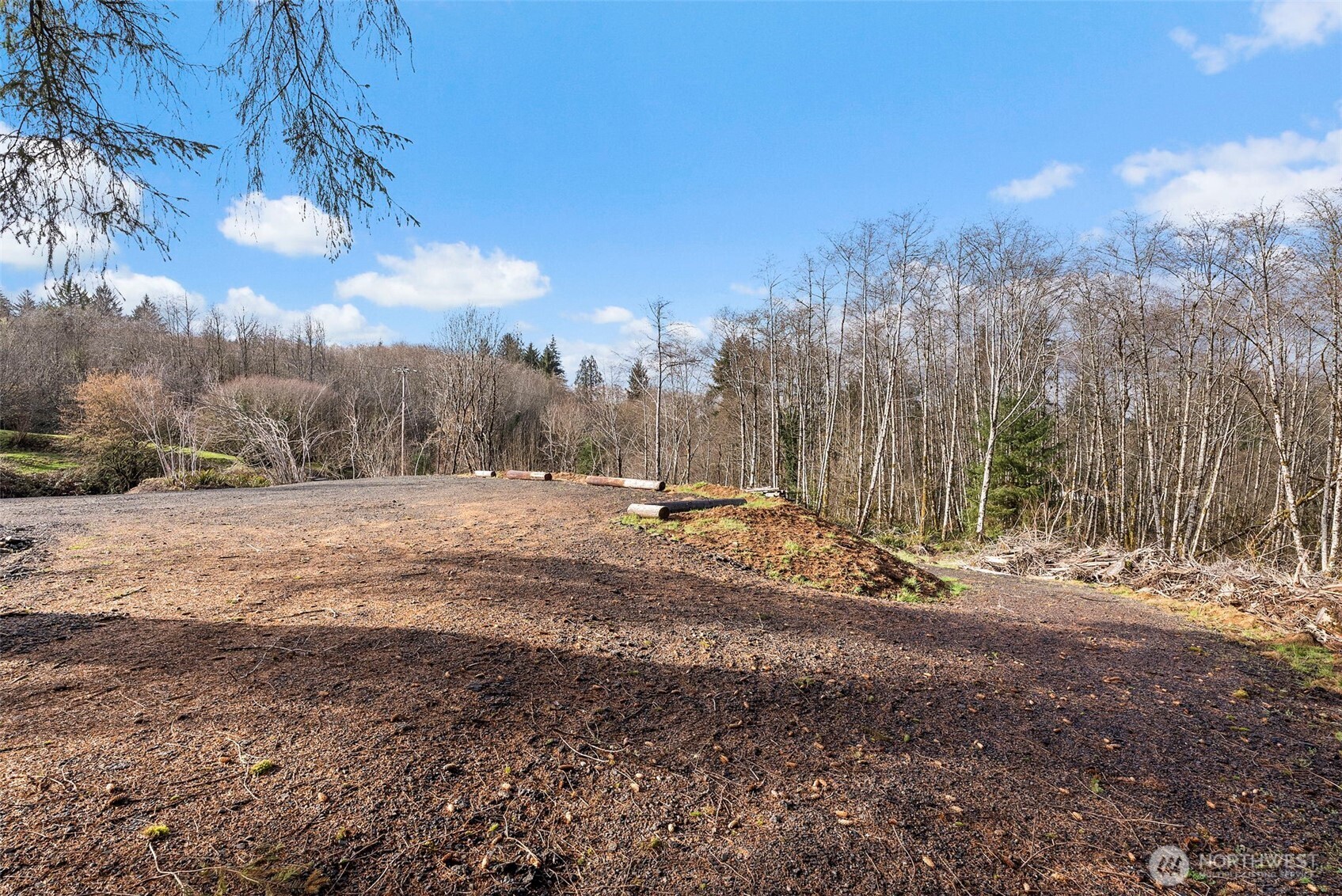 299 State Route 6 Raymond, WA 98577 - Photo 6 of 18