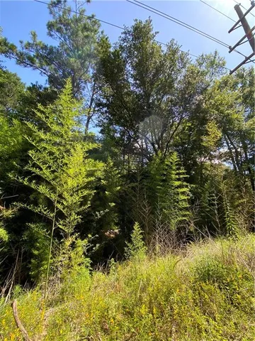 $29,000 | 0 Cactus Drive, Pineville, LA 71360