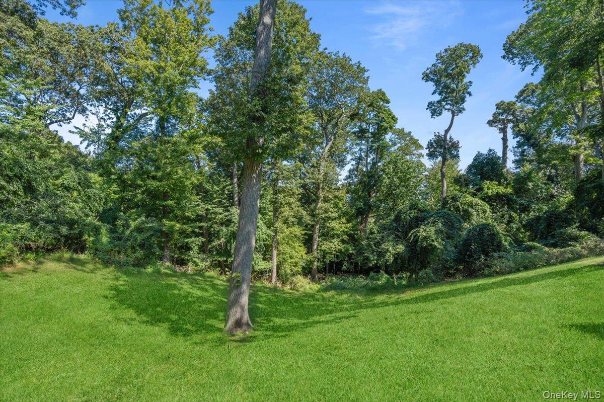 5 Coon Hollow Road Lloyd Harbor, NY 11743 - Photo 42 of 43