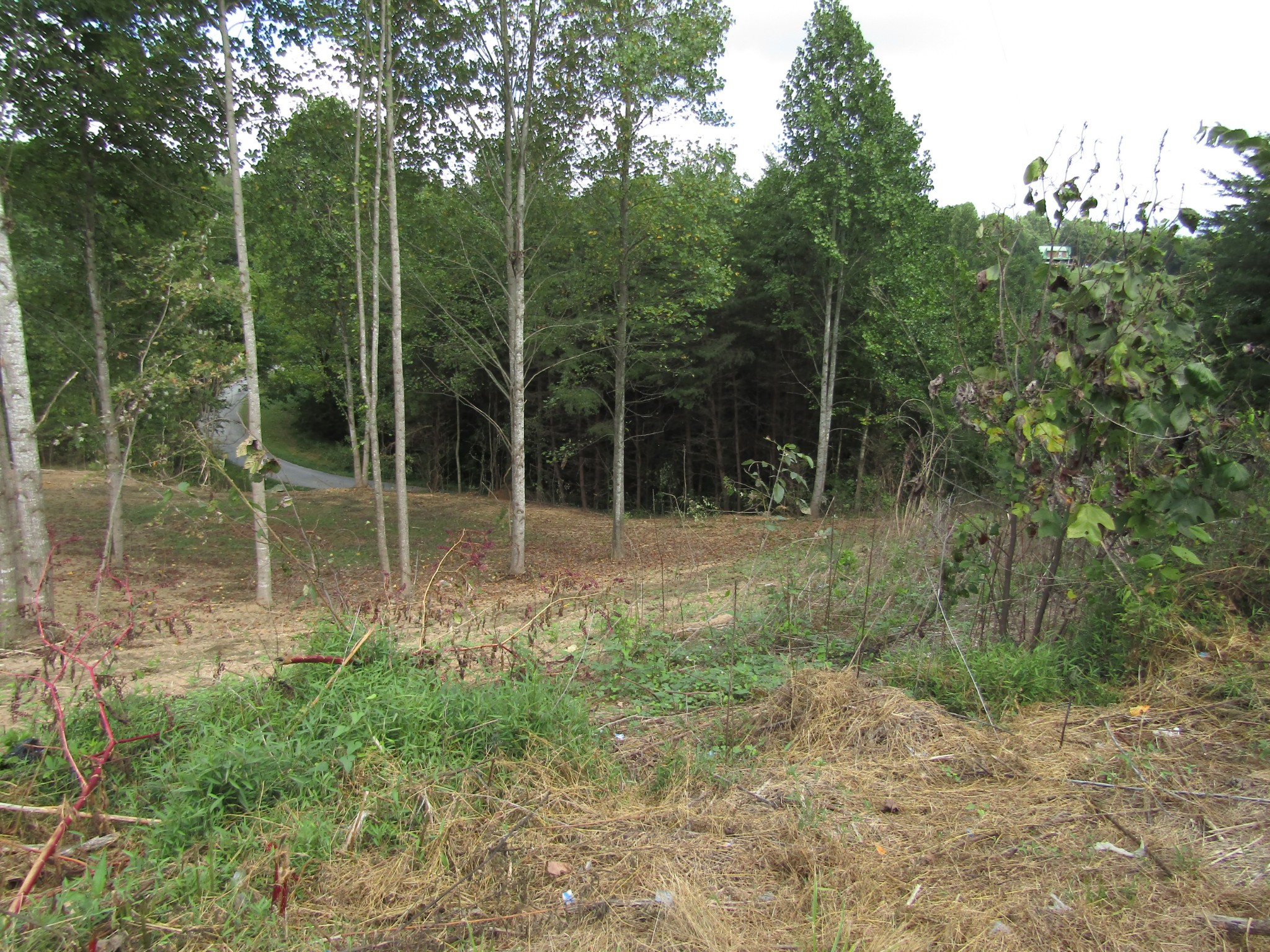 4174 Union Hill Moss Road Moss, TN 38575 - Photo 45 of 47 Gallery Image 45