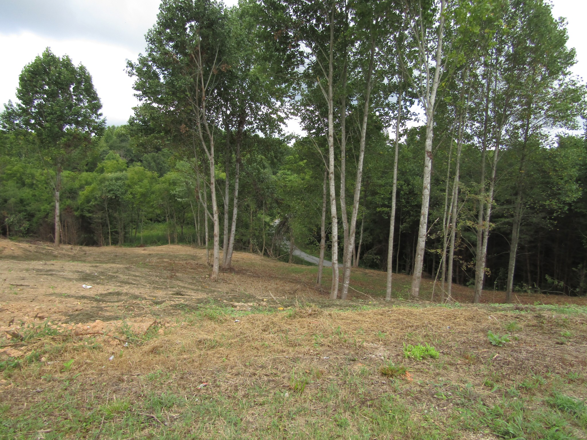 4174 Union Hill Moss Road Moss, TN 38575 - Photo 6 of 47 Gallery Image 6