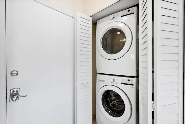 a view of a big yard with plants and large trees