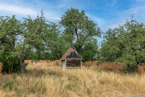 a view of a house with a yard and a large tree