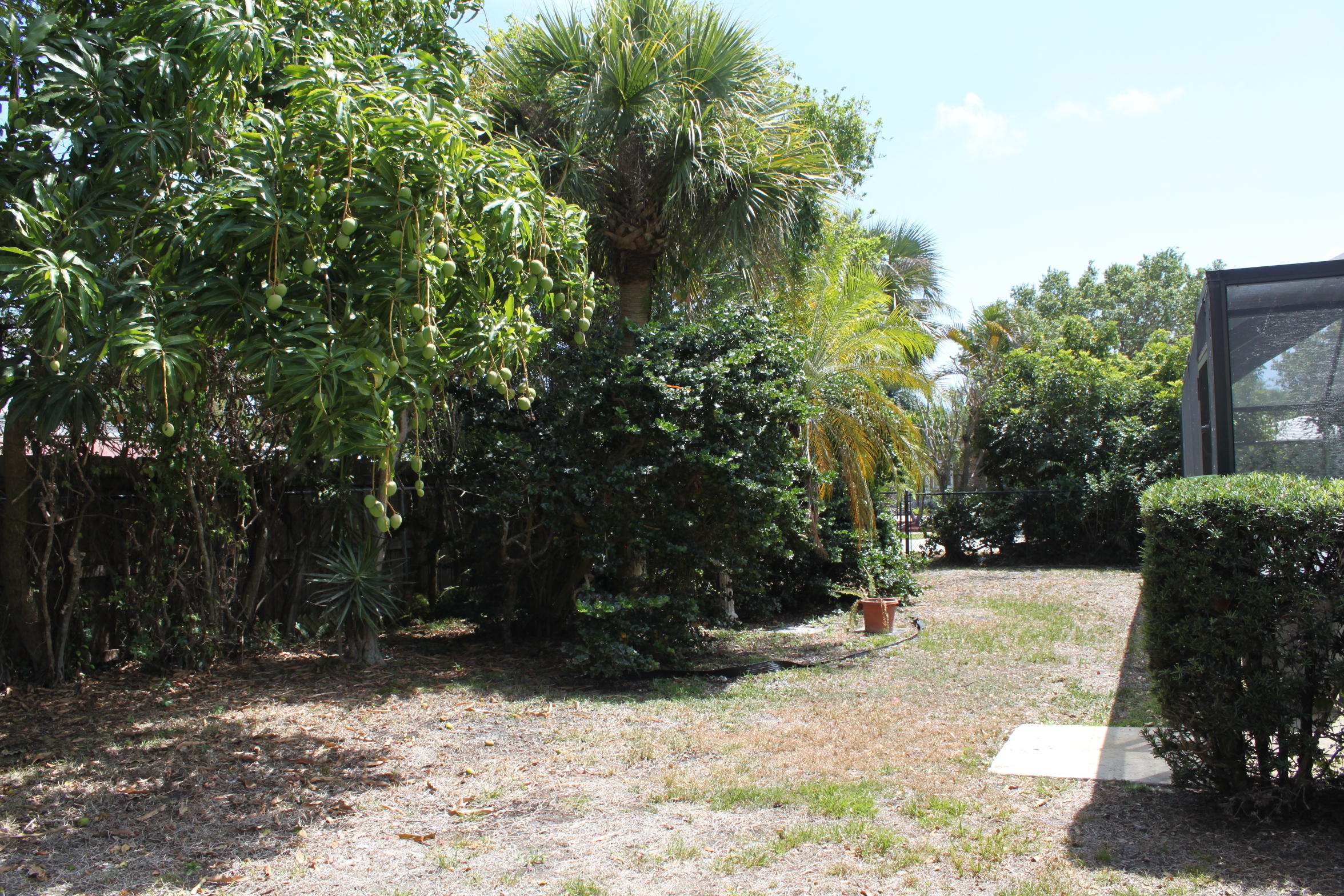 424 Southwest 7th Way Boca Raton, FL 33486 - Photo 3 of 17 Yard