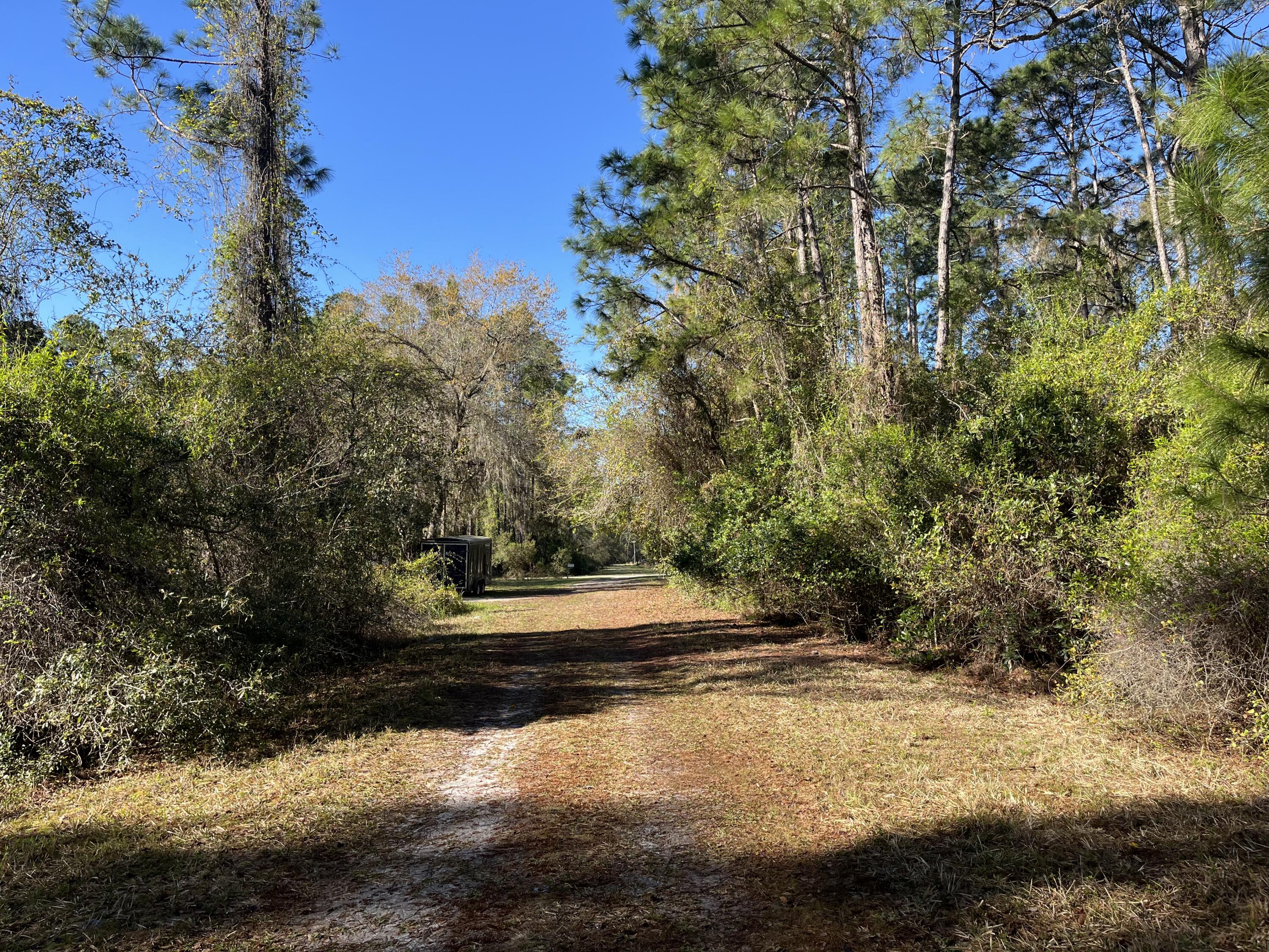 208 3rd Street Georgetown, FL 32139 - Photo 4 of 5 a view of yard with mountain