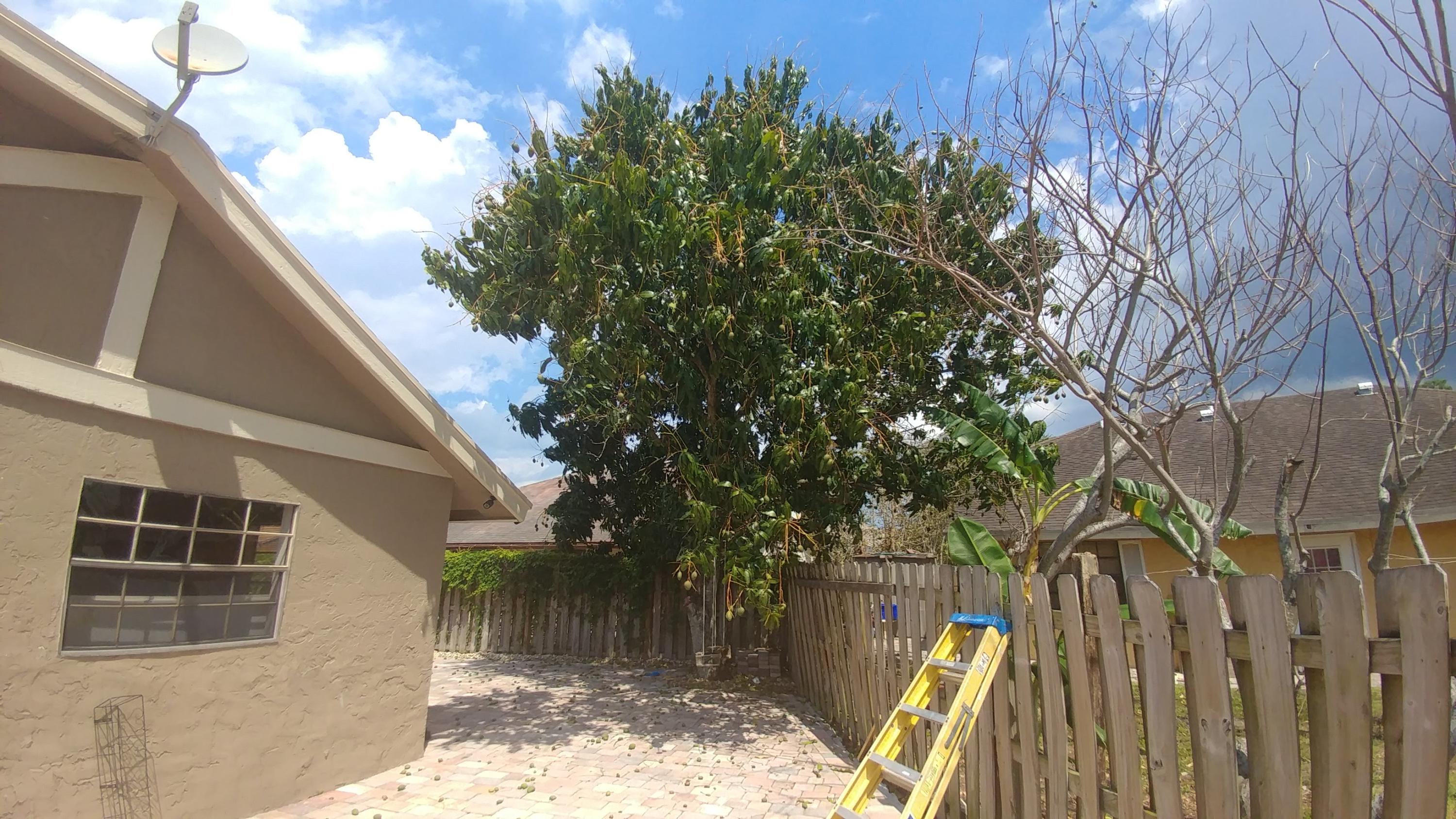 10560 Boca Entrada Boulevard Boca Raton, FL 33428 - Photo 18 of 19 Backyard4