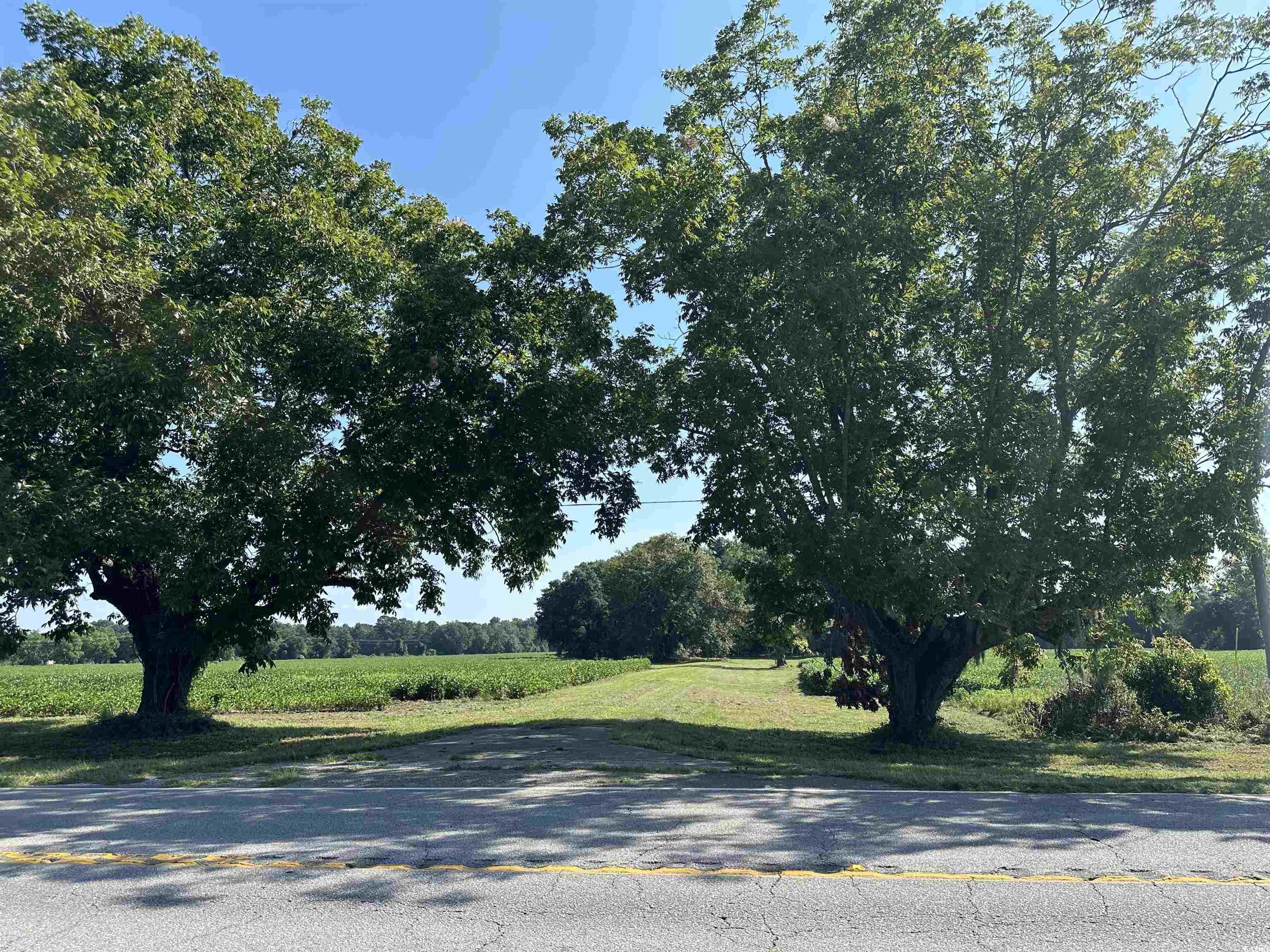 Tbd Sumter Highway Kingstree, SC 29556 - Photo 14 of 15