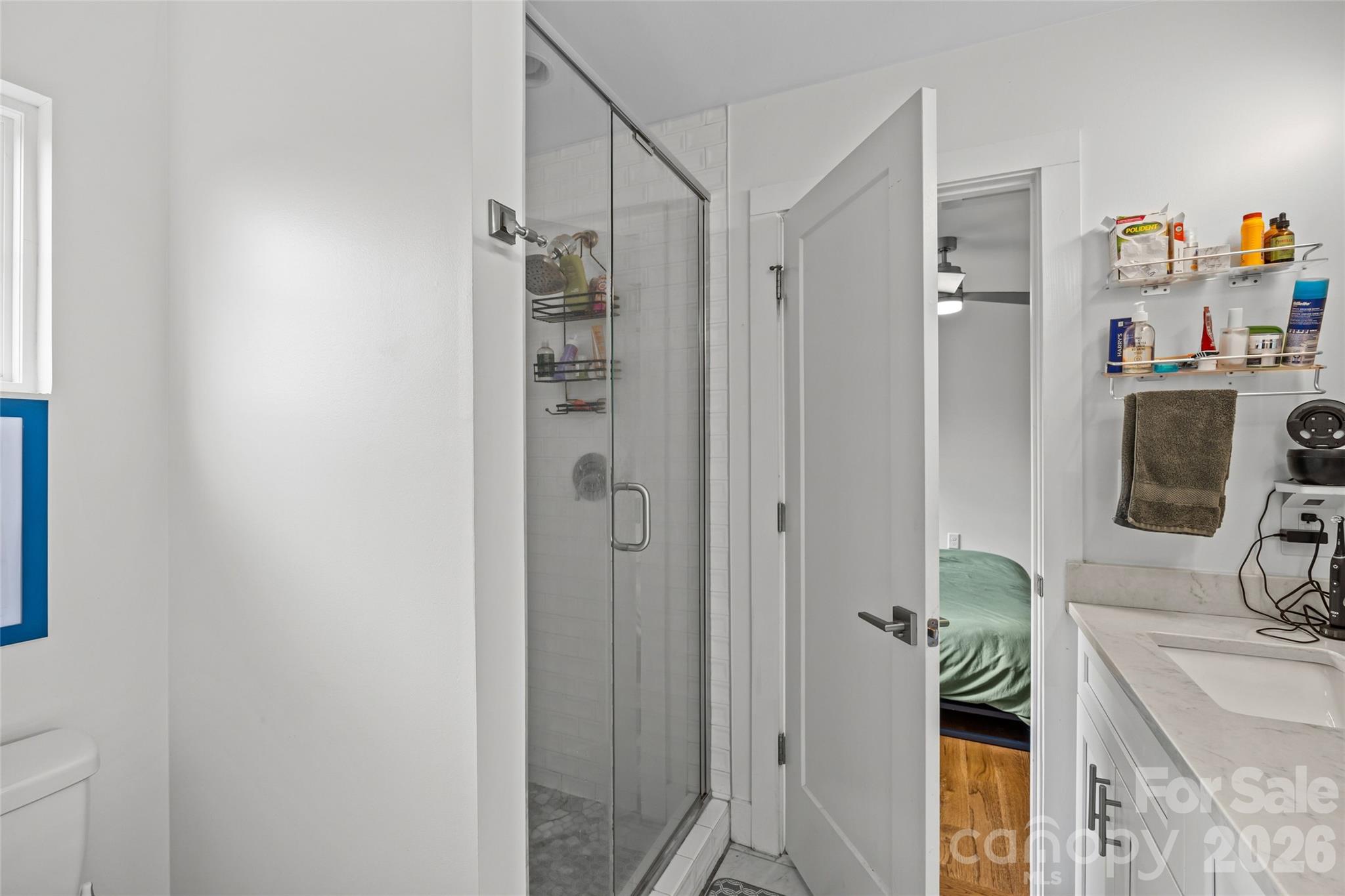 1108 North Alexander Street Charlotte, NC 28206 - Photo 25 of 37 a bathroom with a sink and a mirror
