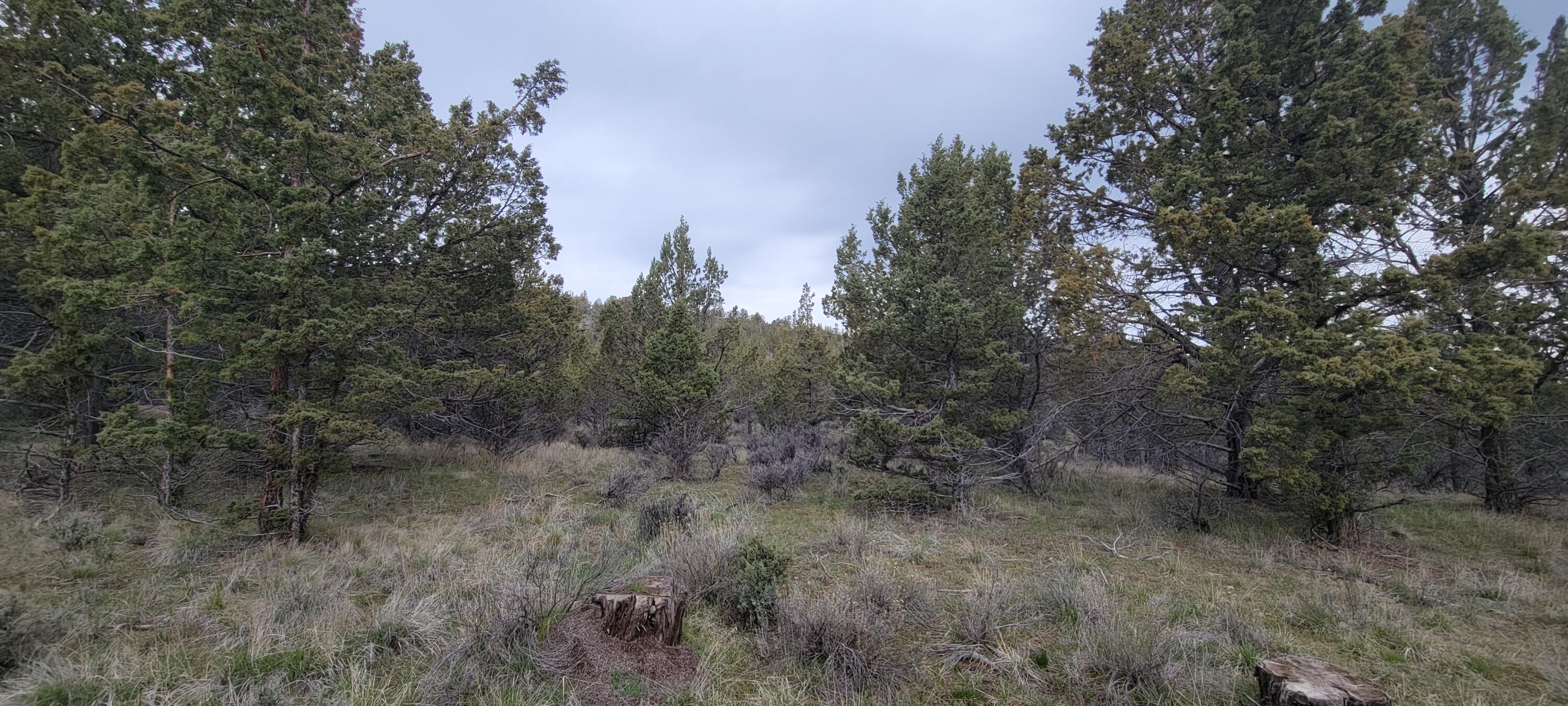 1500 Southeast Osprey Road, Unit 62 Prineville, OR 97754 - Photo 22 of 26 Topography 01