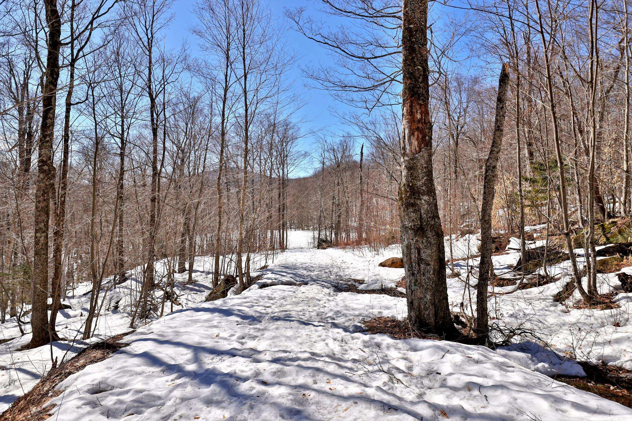 191 Trailview Drive Killington, VT 05751 - Photo 39 of 47