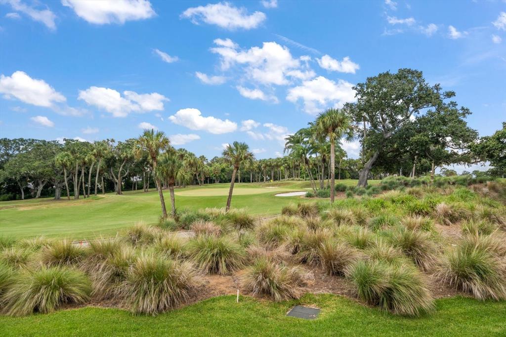50 Coe Road, Unit 311 Belleair, FL 33756 - Photo 43 of 53