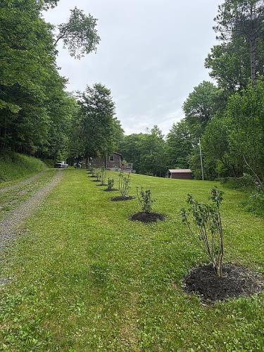 2189 Table Rock Road Oakland, MD 21550 - Photo 14 of 26