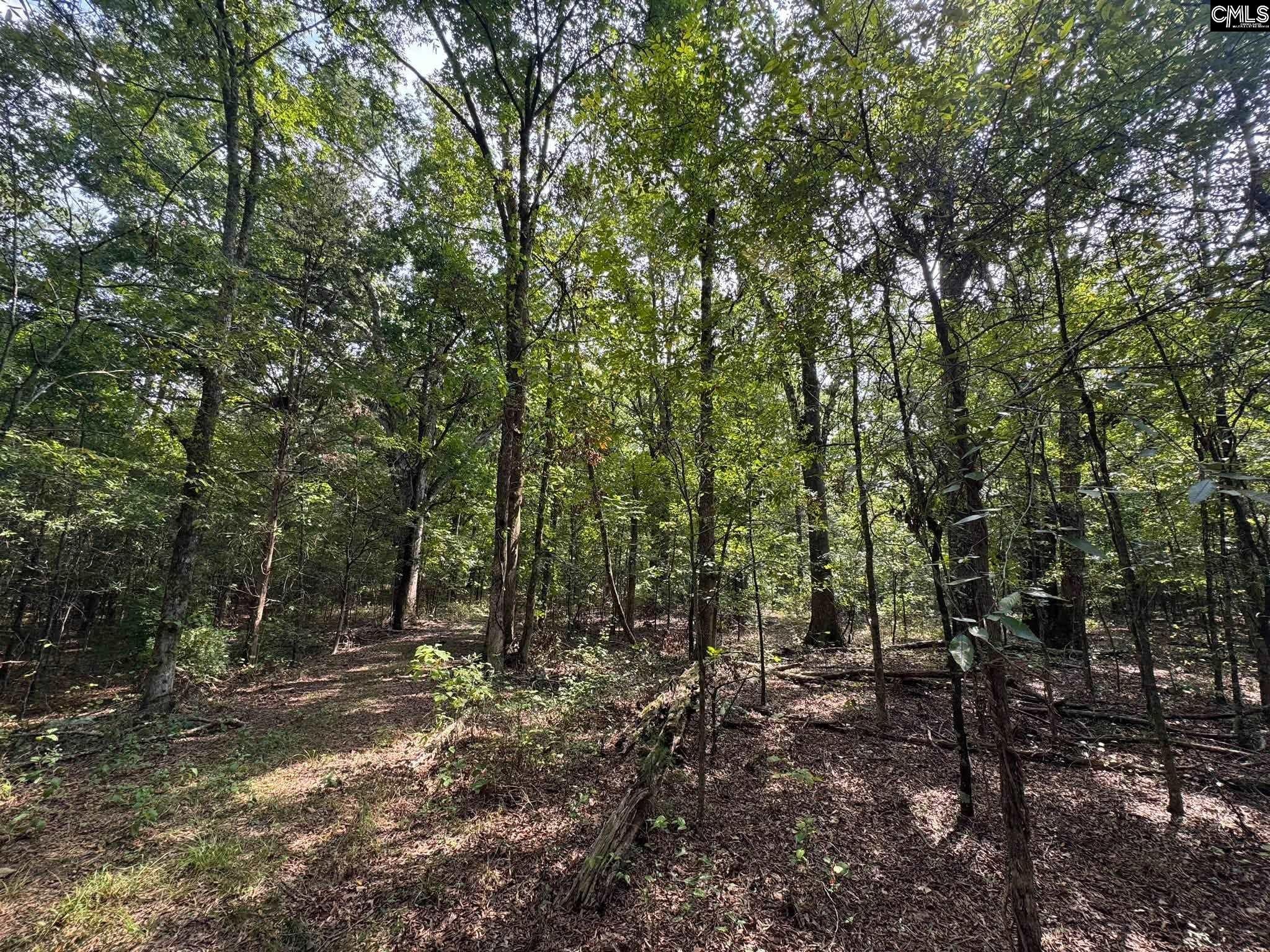 Pencreek Road Johnston, SC 29832 - Photo 41 of 59 Gallery Image 41