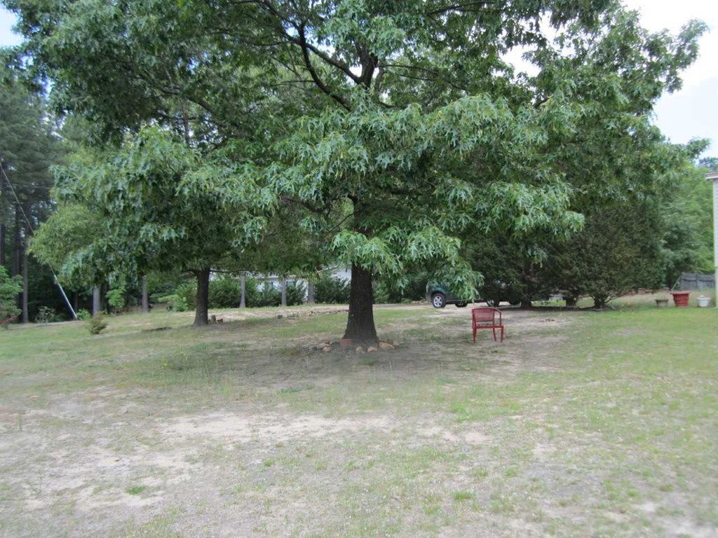 148 5th Road, Unit 20 Haddock, GA 31033 - Photo 12 of 12 a wooden bench with trees in the background