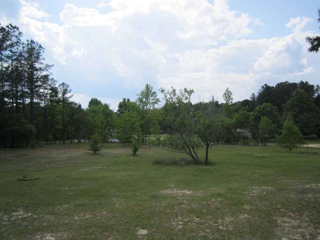 148 5th Road, Unit 20 Haddock, GA 31033 - Photo 10 of 12 a view of three trees in a field