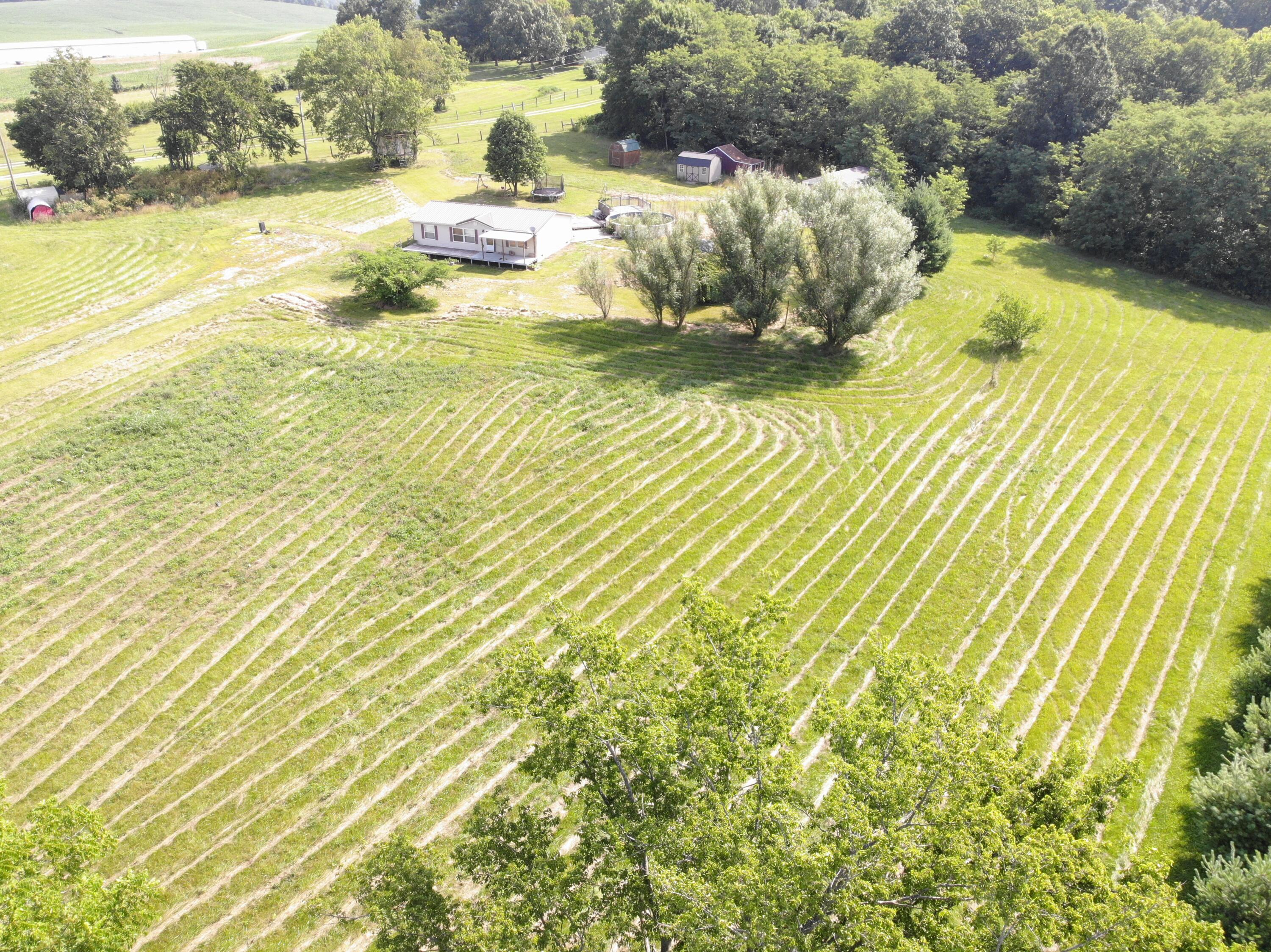 1330 Robinson Road Cynthiana, KY 41031 - Photo 3 of 67 DJI_0457
