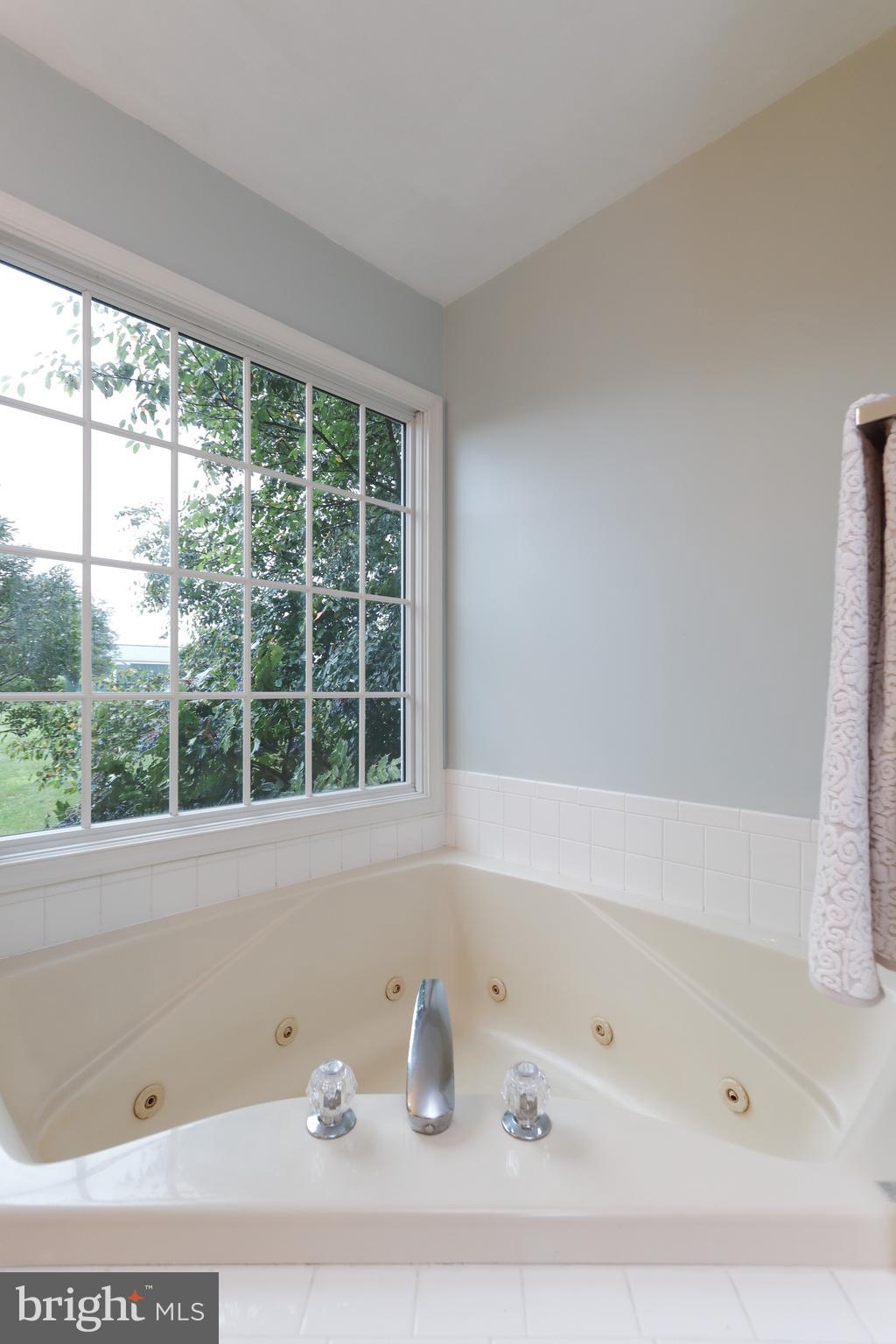 7401 Damascus Road Gaithersburg, MD 20882 - Photo 33 of 66 Primary On-Suite Bath