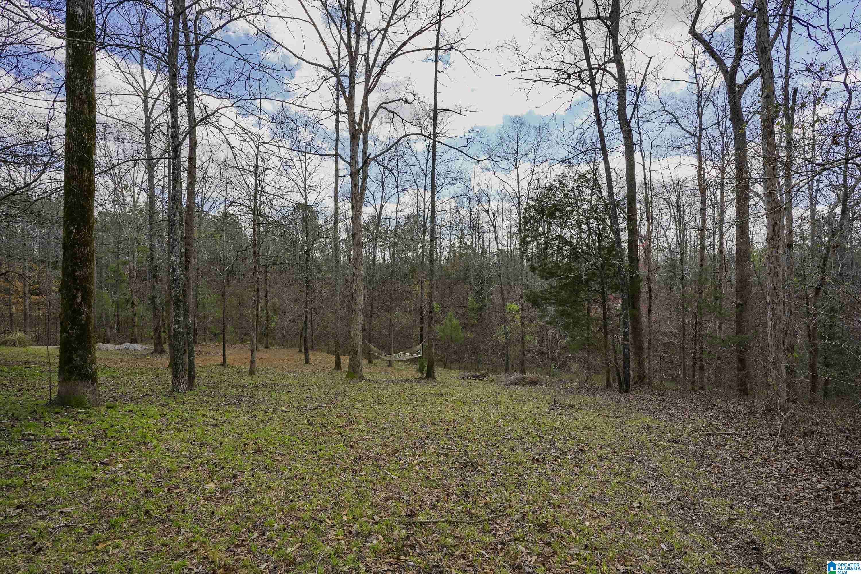 707 Turkey Ridge Road Ragland, AL 35131 - Photo 52 of 68