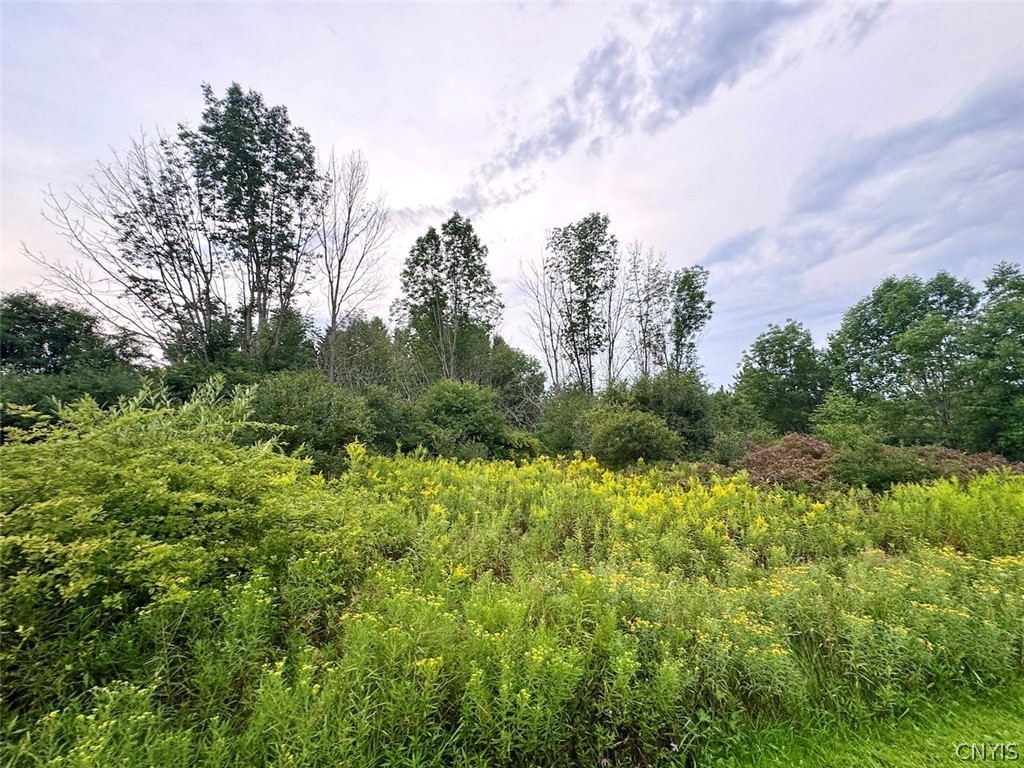 Common Road Angelica, NY 14709 - Photo 16 of 26 Gallery Image 16