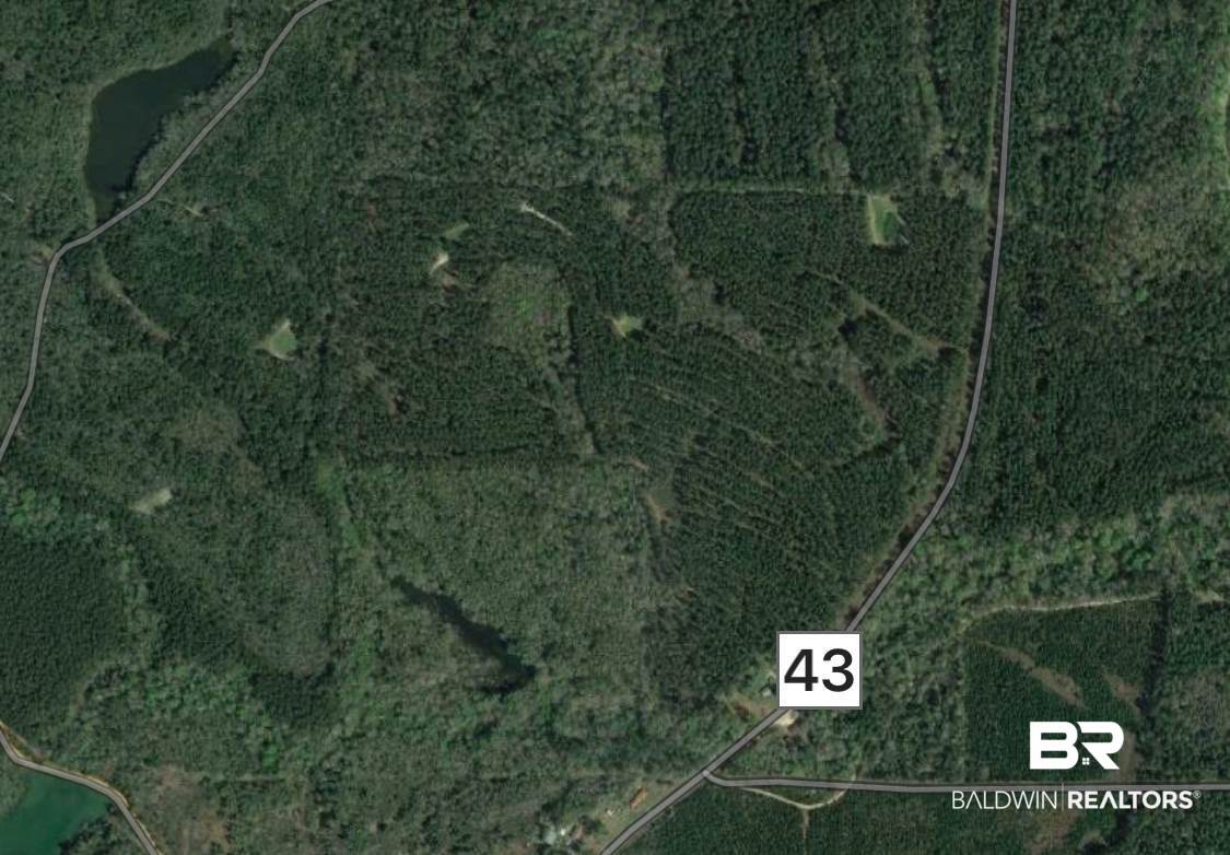 43 County Road Brewton, AL 36426 - Photo 1 of 2