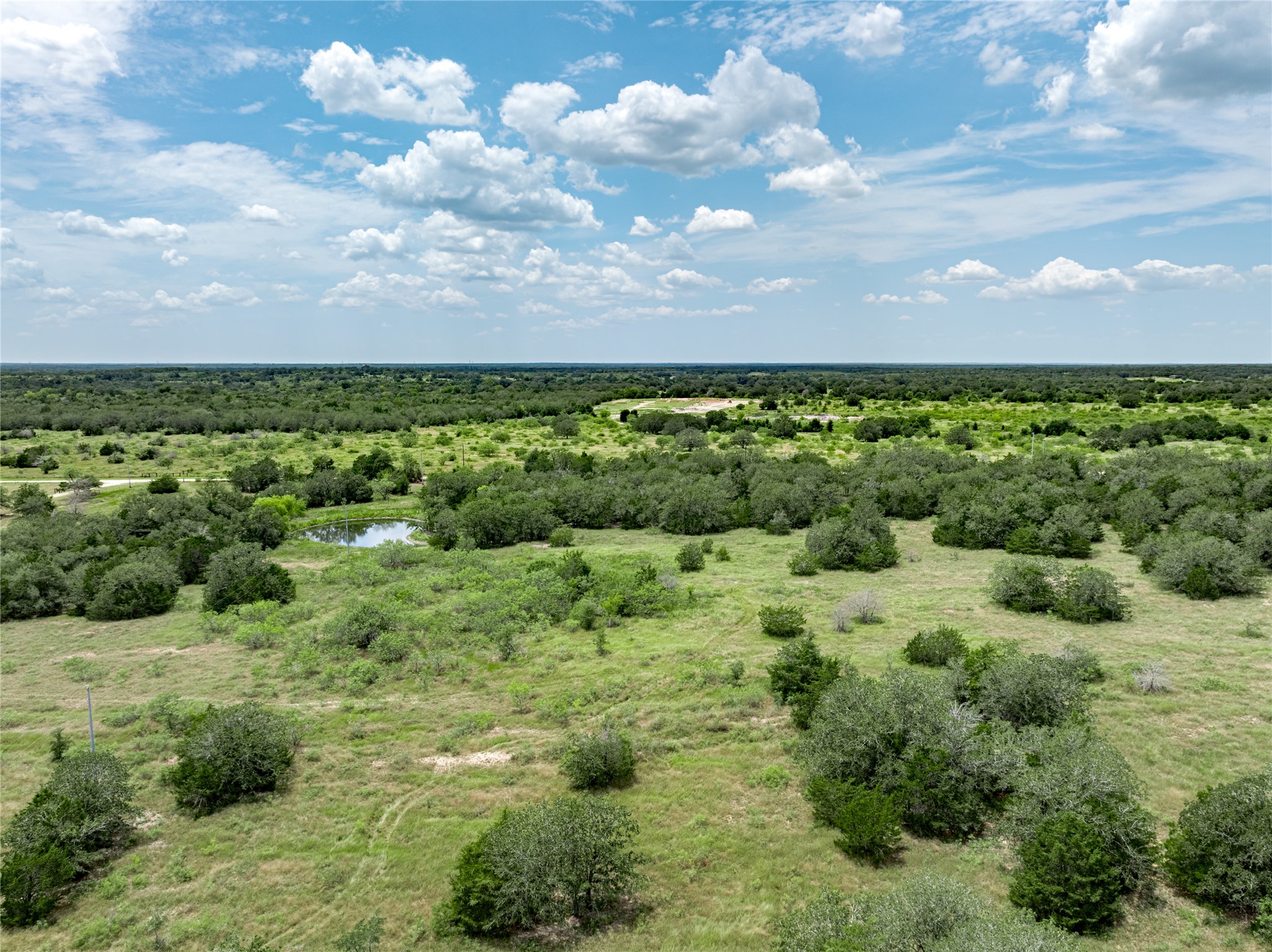 1345 Davis Road Muldoon, TX 78949 - Photo 4 of 25 a view of a bunch of trees