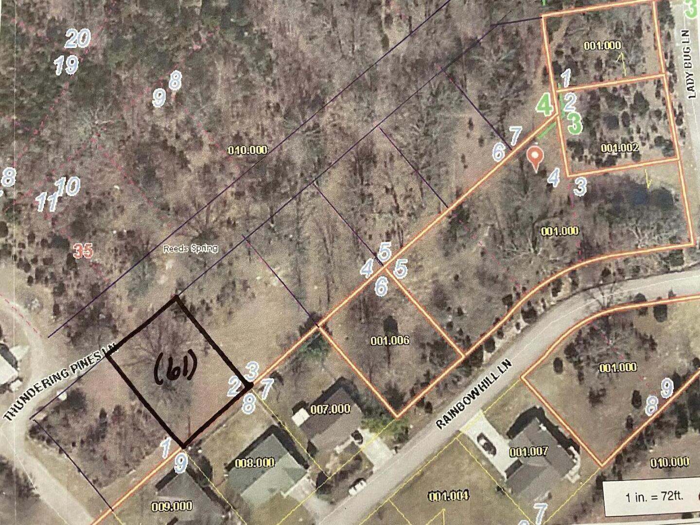 61 Thorn Rdg Road Reeds Spring, MO 65737 - Photo 1 of 1 Overhead View