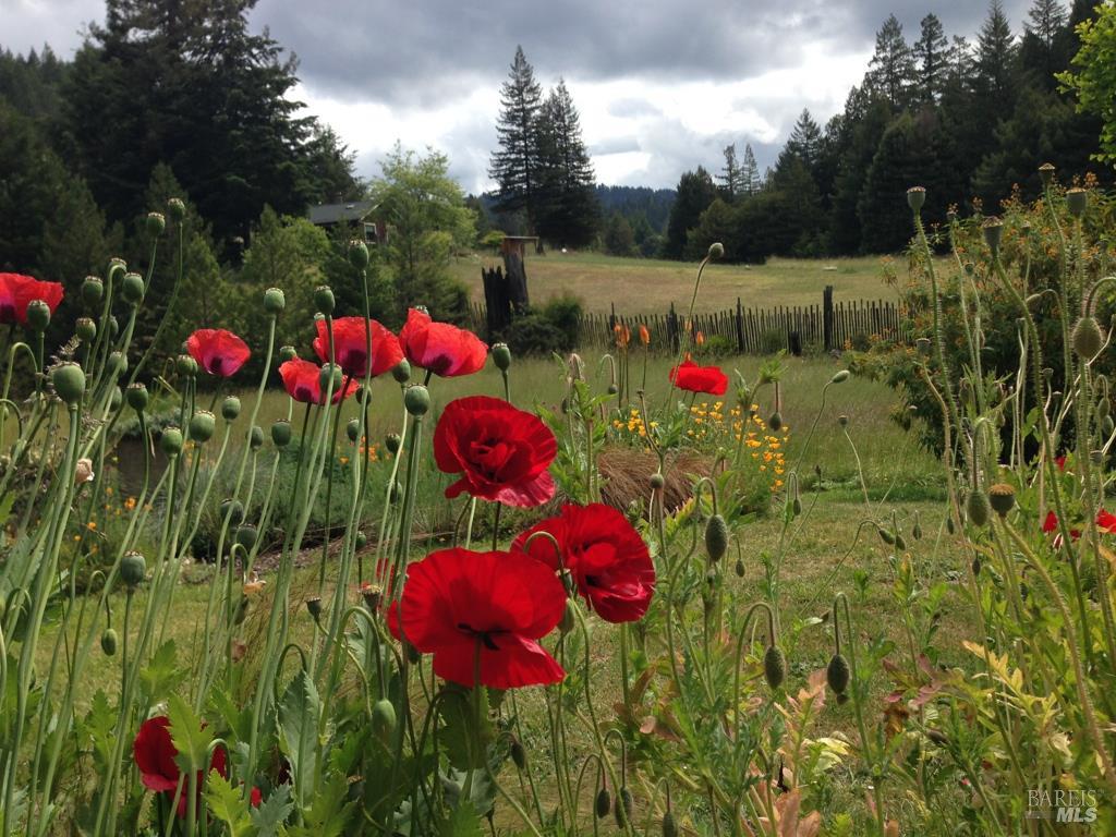 31501 Comptche Ukiah Road Comptche, CA 95427 - Photo 76 of 85