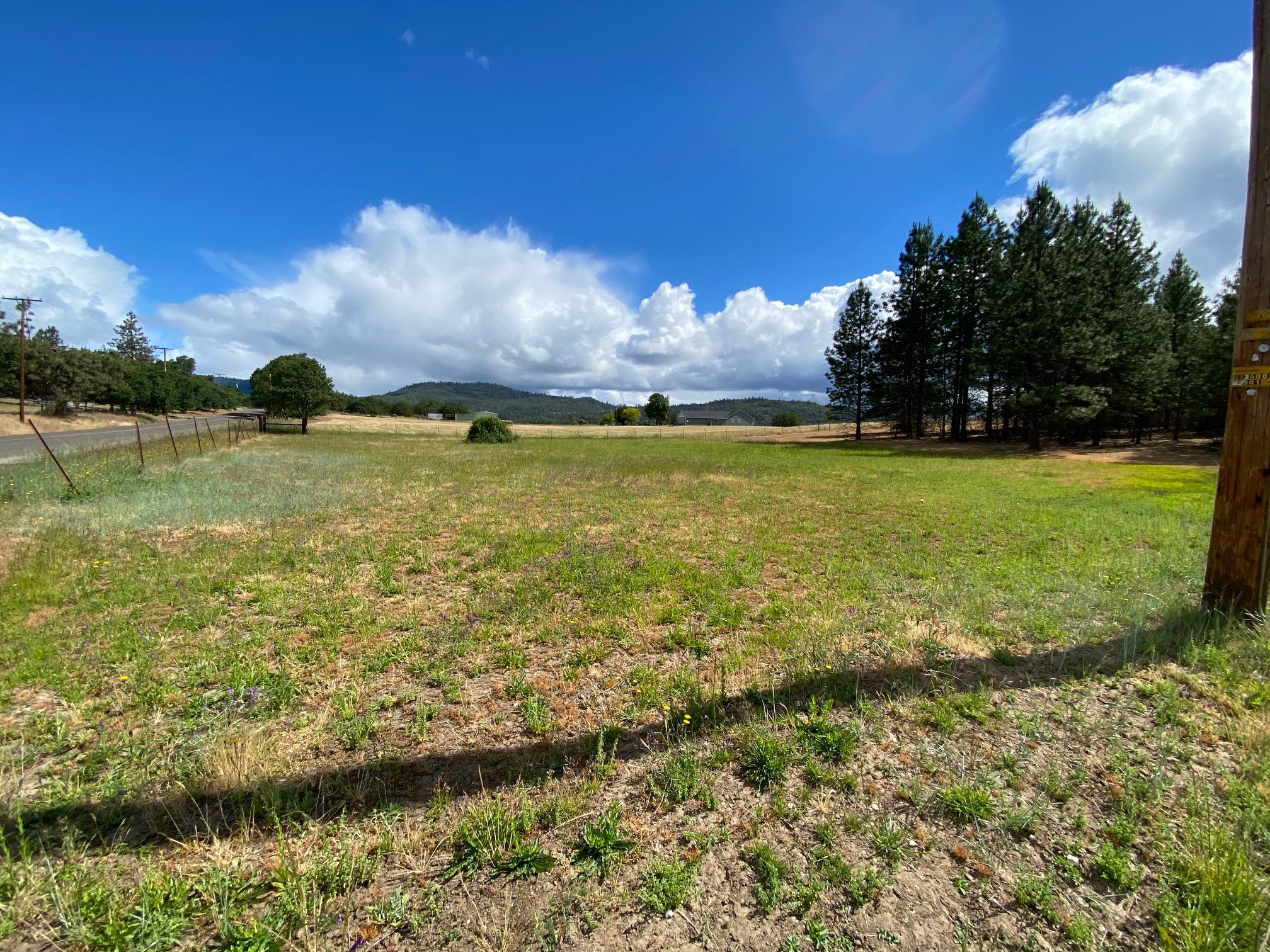 8500 Ramsey Road Gold Hill, OR 97525 - Photo 10 of 34 IMG_0460