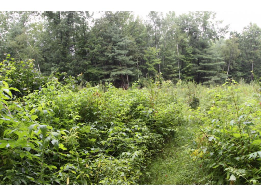 415 Sunderland Woods Road Colchester, VT 05446 - Photo 10 of 10 Gallery Image 10