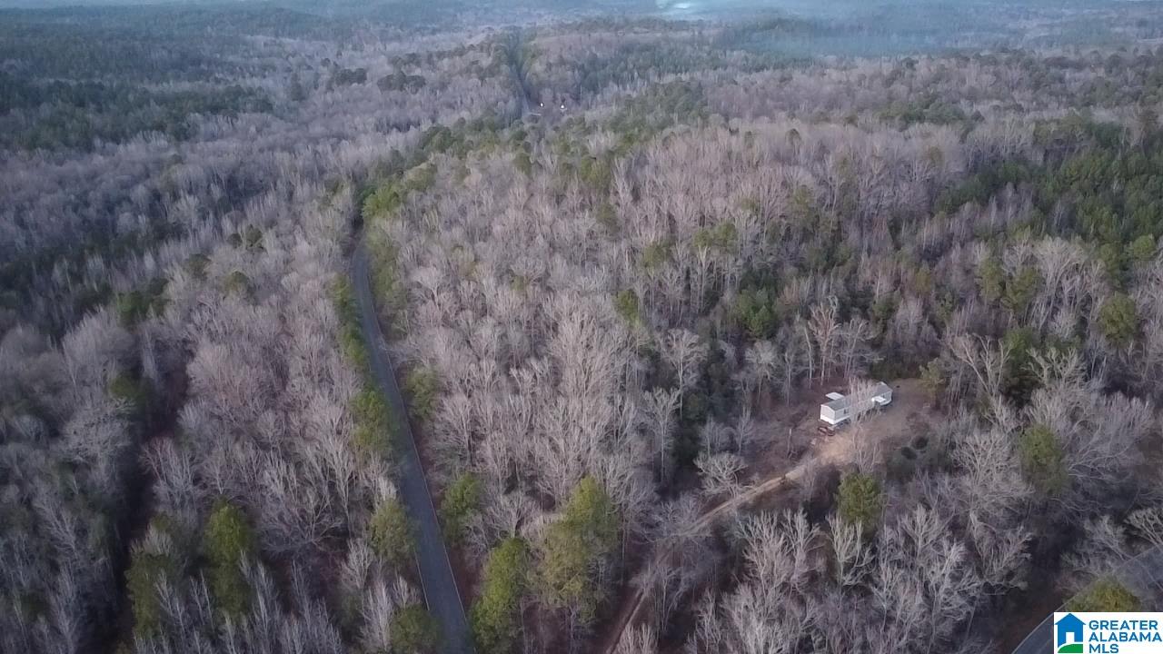 1 County Road, Unit 1 Centreville, AL 35042 - Photo 3 of 9