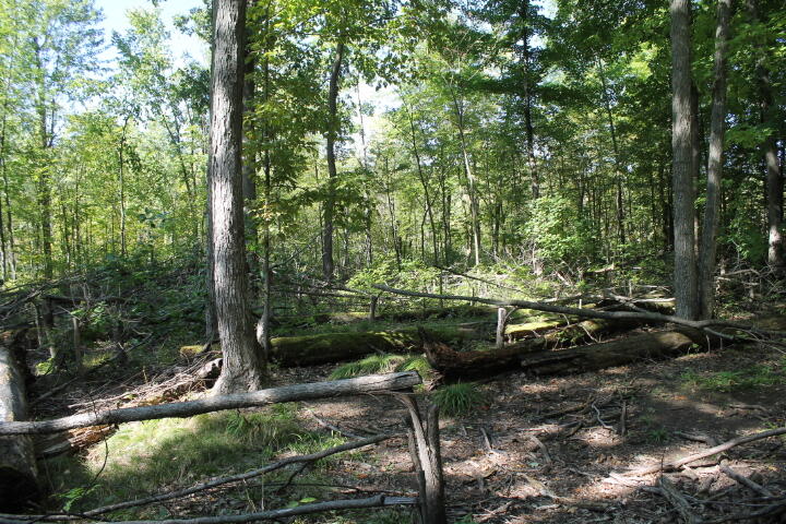 12150 Lone Tree Road Milford, MI 48380 - Photo 17 of 25
