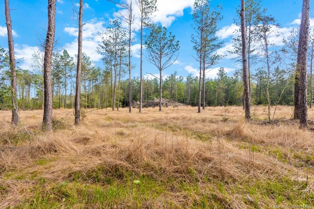 12 Gimnick Road Dequincy, LA 70633 - Photo 1 of 3 Gallery Image 1