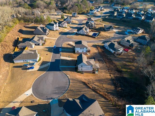205 Macdonald Court Springville, AL 35146 - Photo 60 of 69