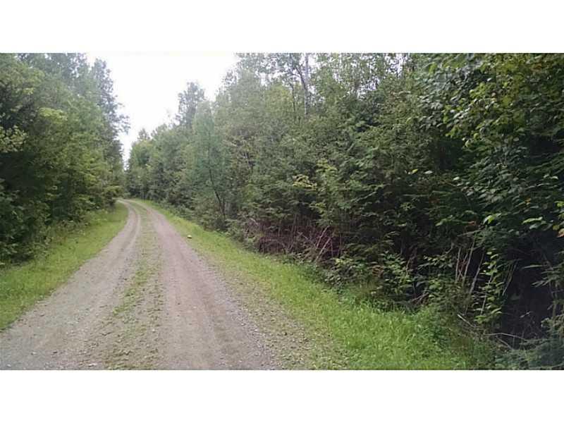 Lot # 8 Prescott Brook Road Springfield, ME 04487 - Photo 4 of 7 Land.