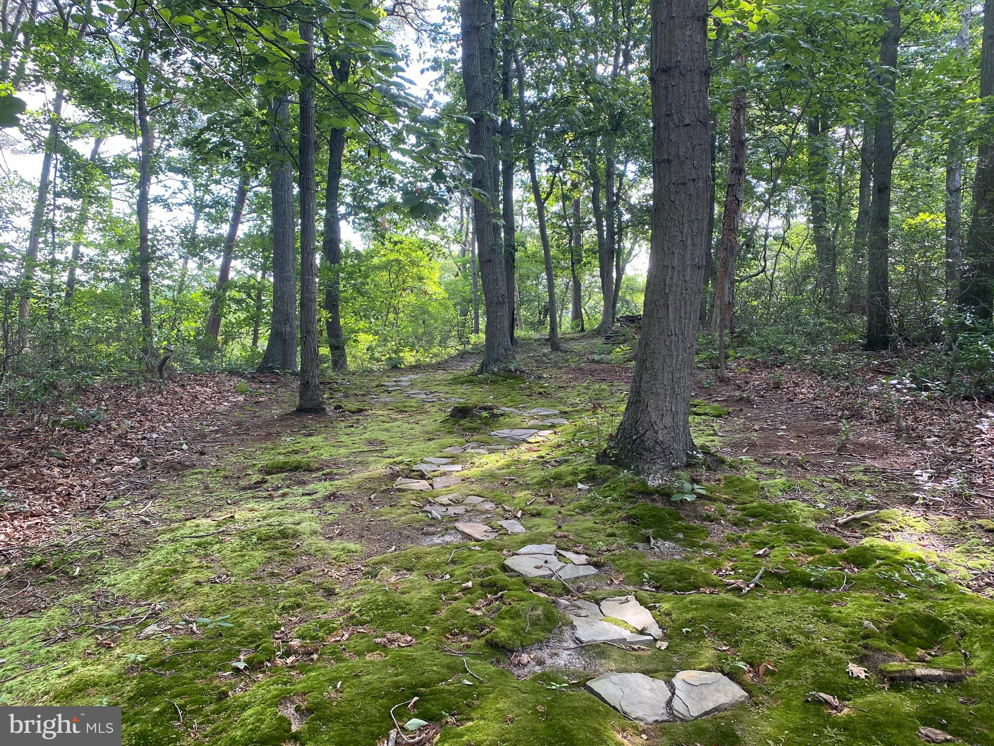 652 Silver Run Road Millville, NJ 08332 - Photo 71 of 77 Gallery Image 71