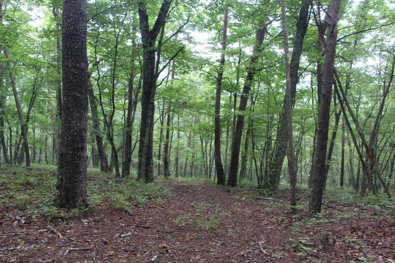 4279 Bradshaw Road Elliston, VA 24087 - Photo 11 of 13 Gallery Image 11