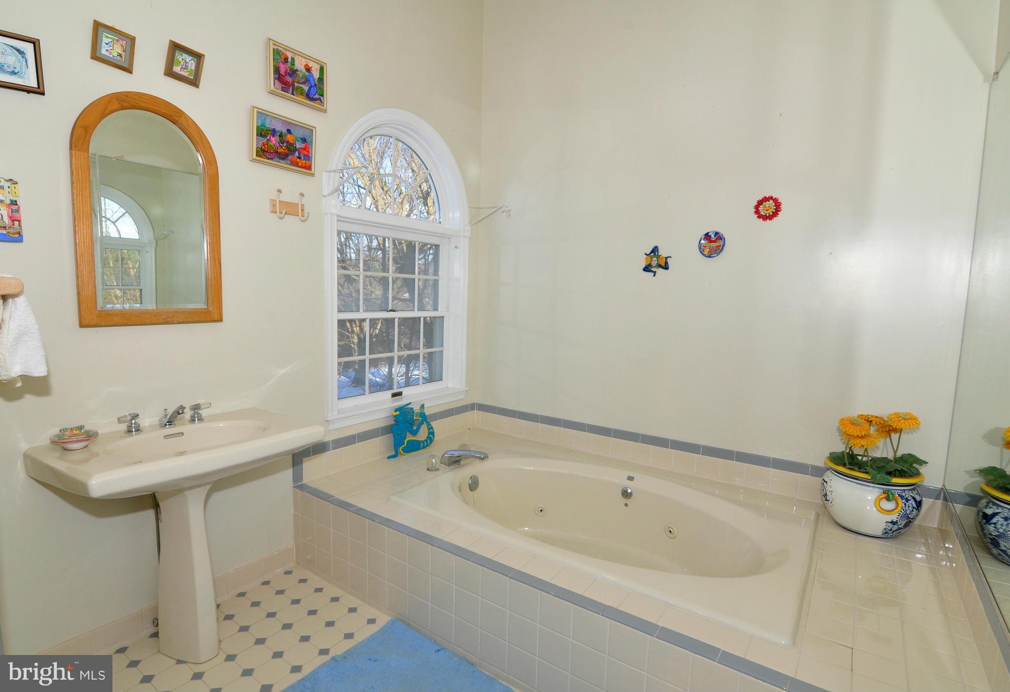 18111 Canby Road Leesburg, VA 20175 - Photo 20 of 30 Bath (Master)
