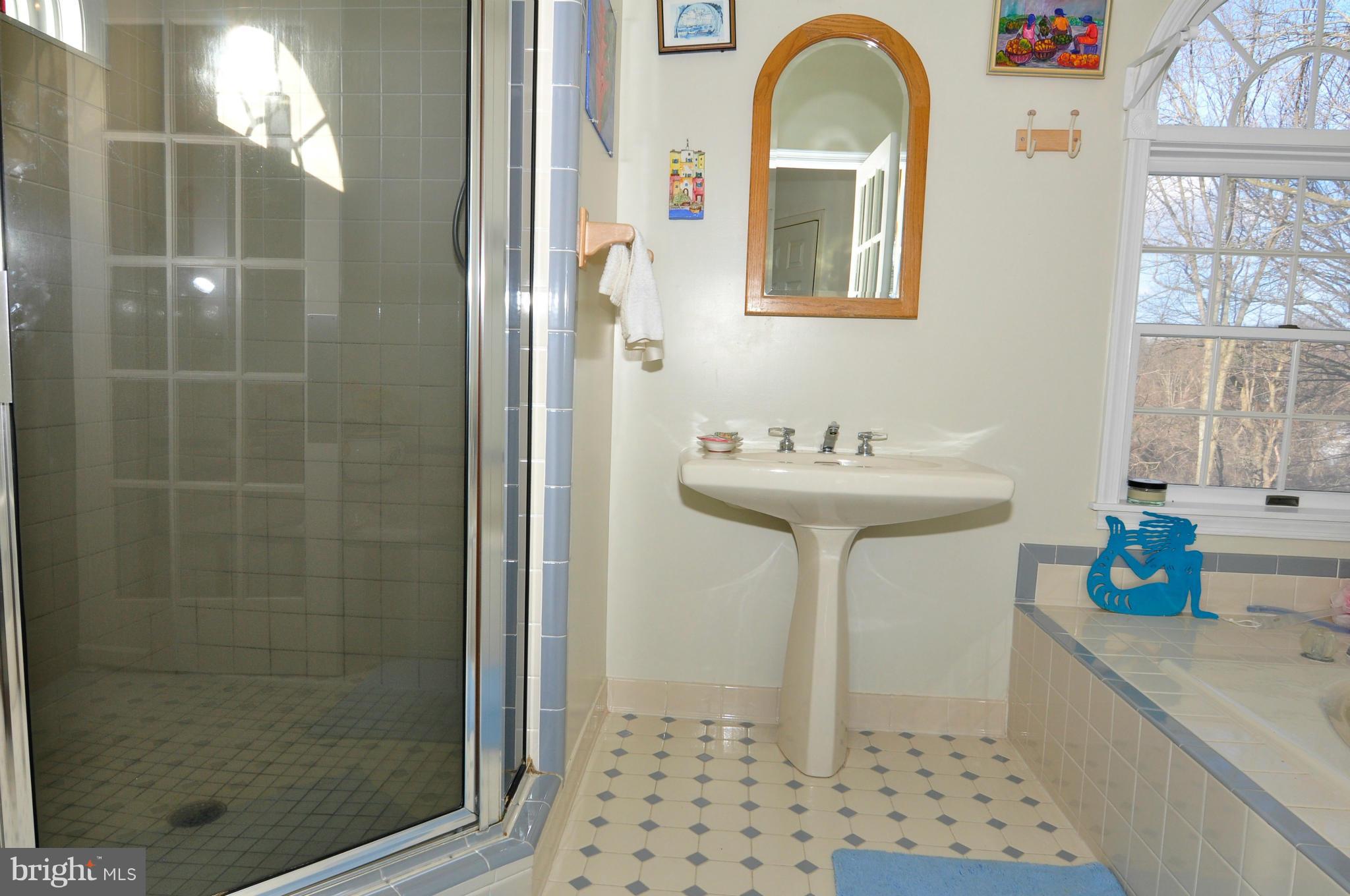 18111 Canby Road Leesburg, VA 20175 - Photo 21 of 30 Bath (Master)